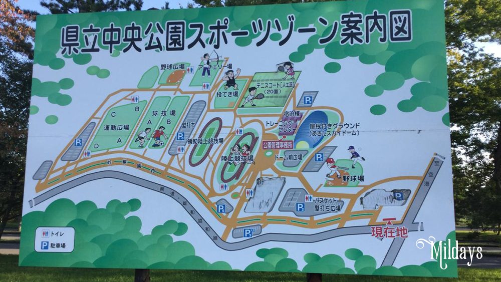 秋田県立中央公園にあるフィールドアスレチックは子どもも大満足！料金や営業時間、無料開放日情報など